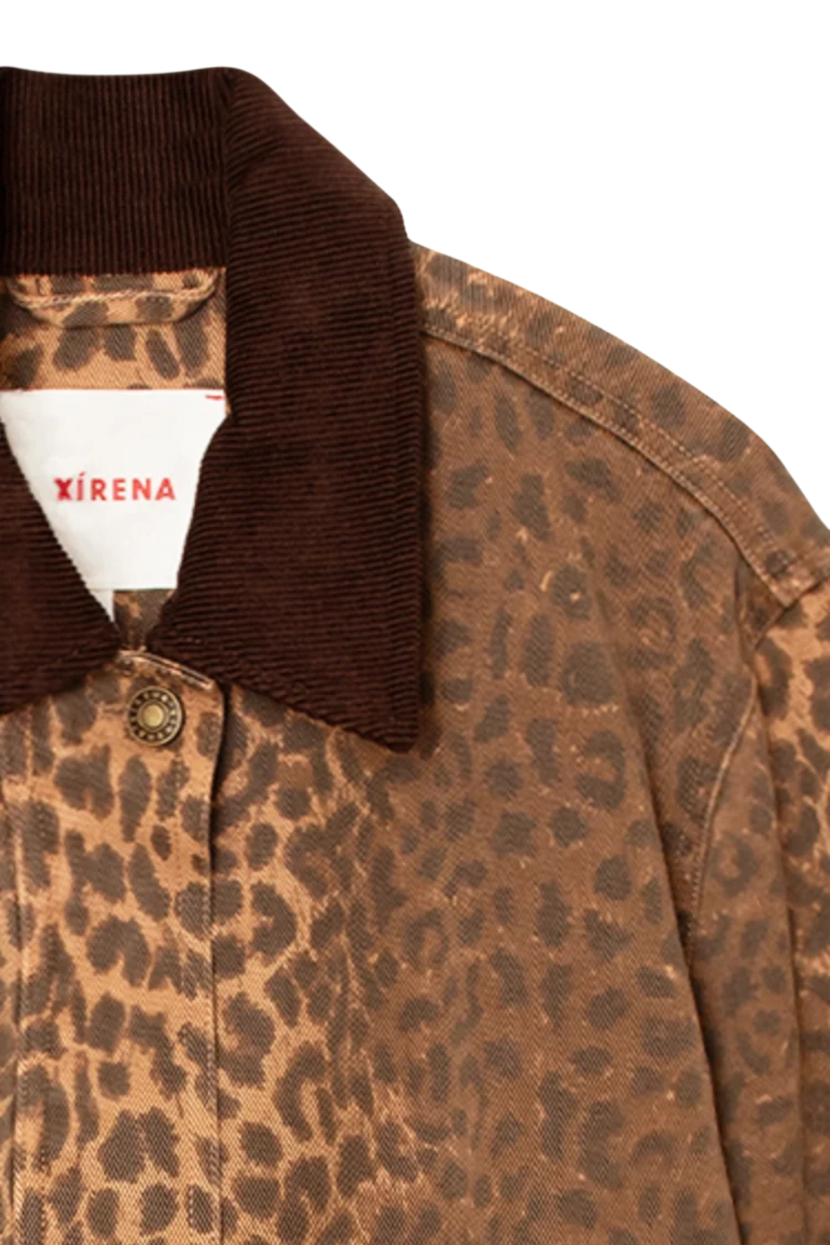Xirena Earle Jacket - Bengal
