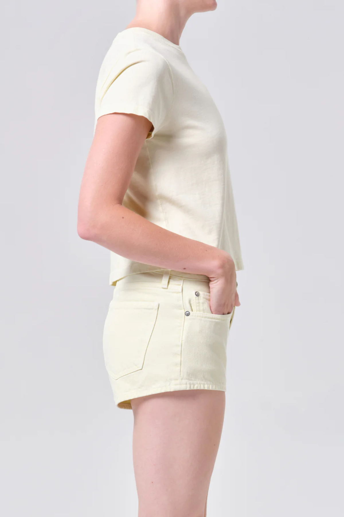 Agolde Adine Shrunken Tee