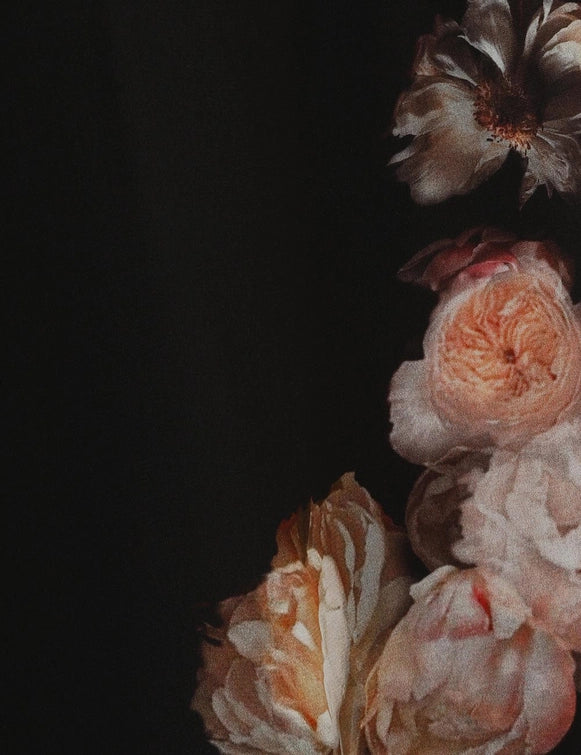 Zimmermann Hypnotic Flutter Blouse