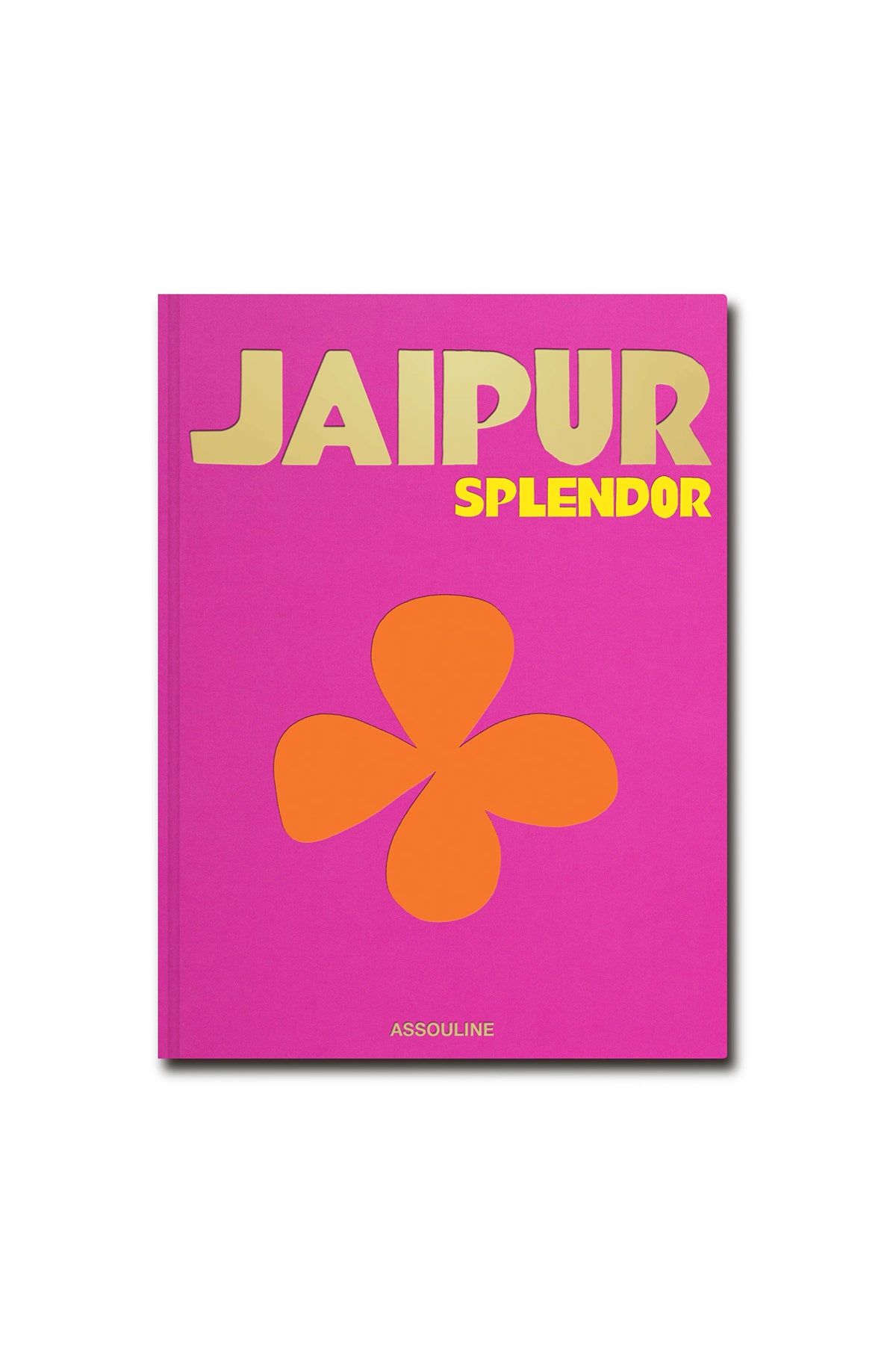 Assouline Jaipur Splendeur