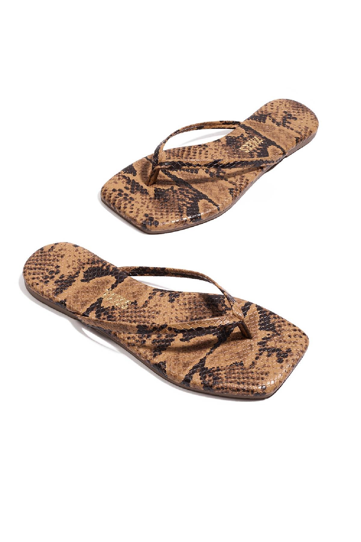 Tkees Square Toe Exotics