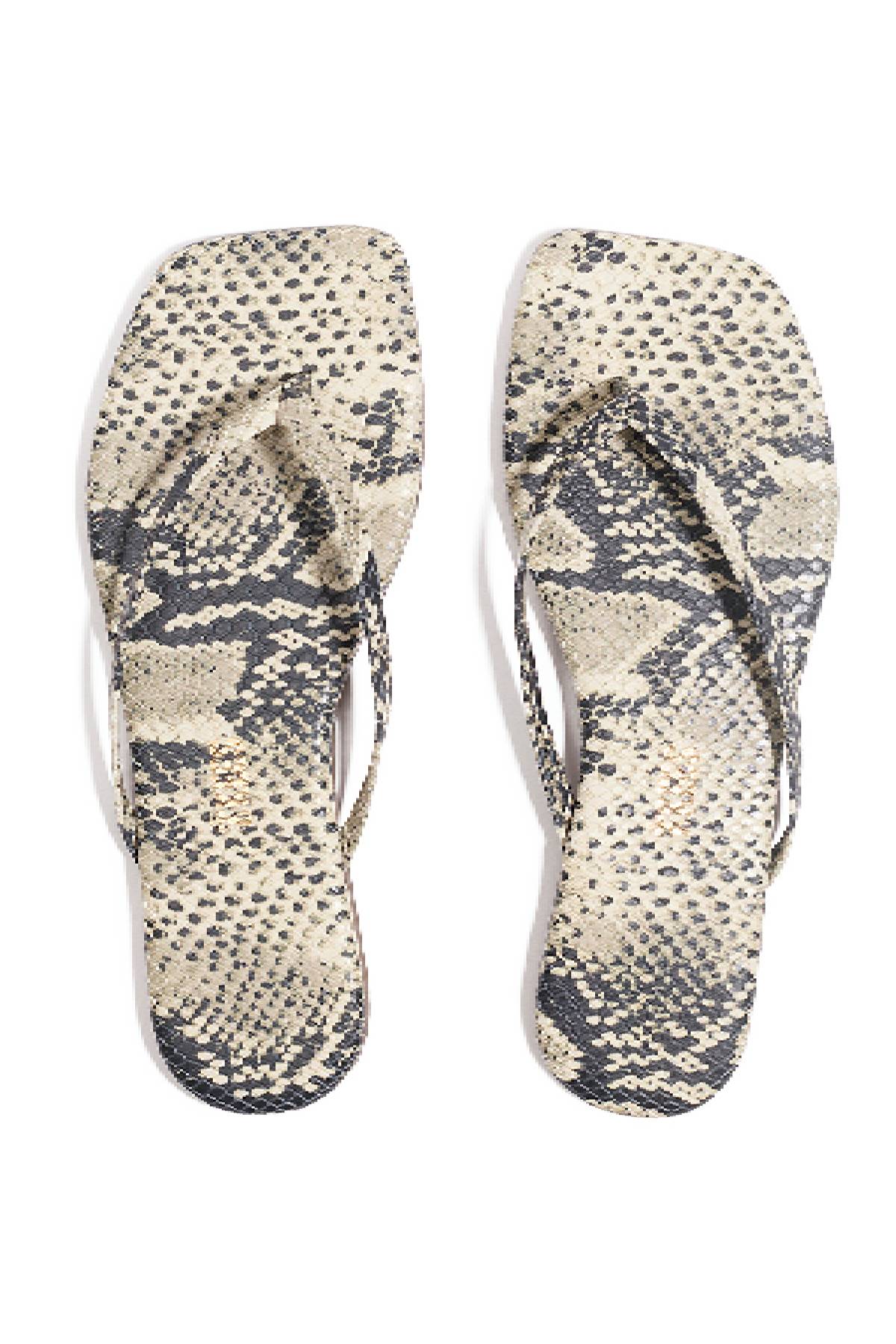 Tkees Square Toe Exotics