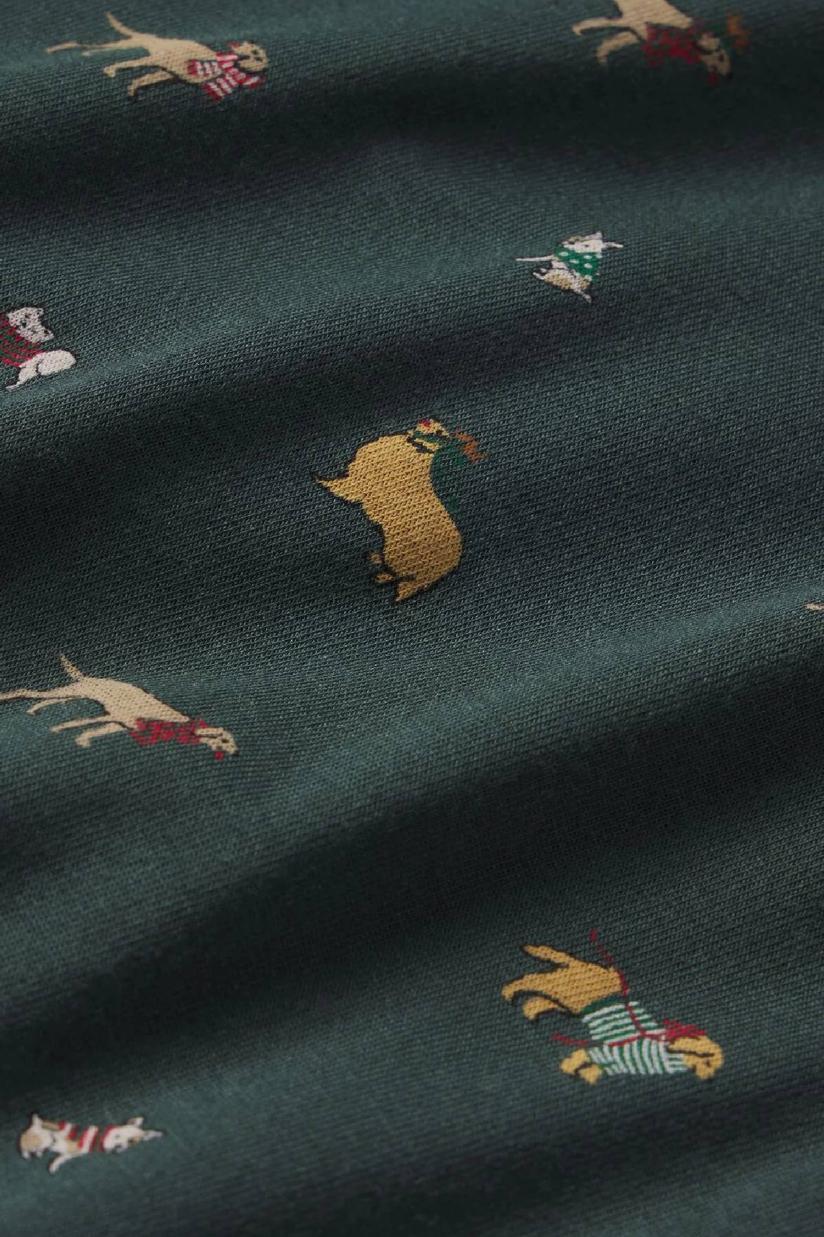 Eberjey Gisele Printed Long PJ Set