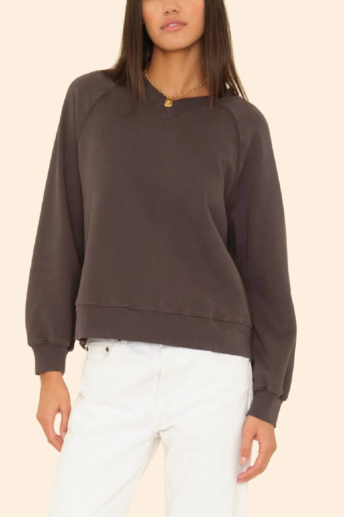 Xirena Brit Sweatshirt