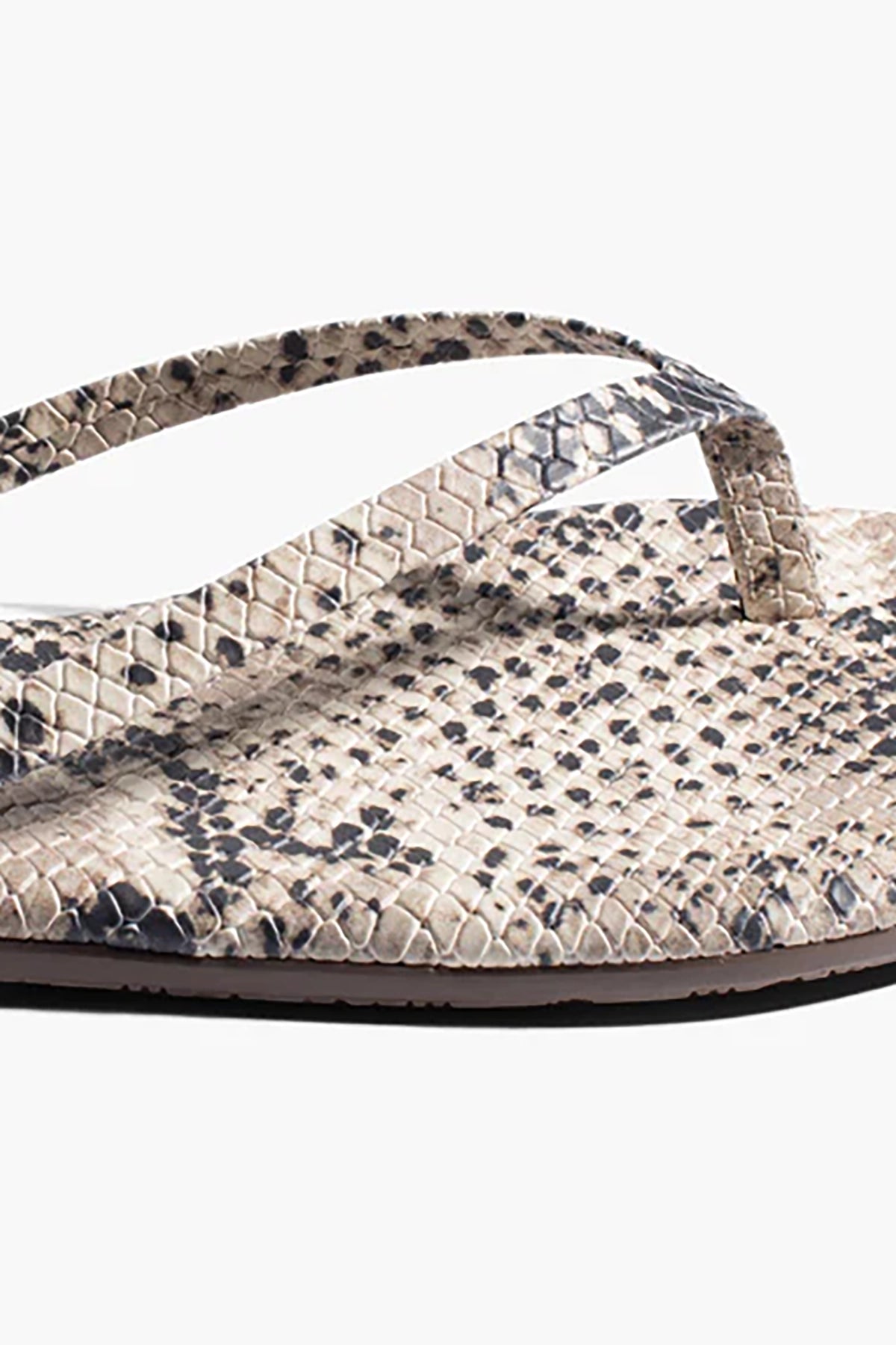 Tkees Studio Exotic - Sandsnake