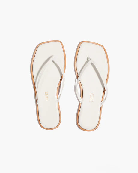 Tkees Square Toe Dylan