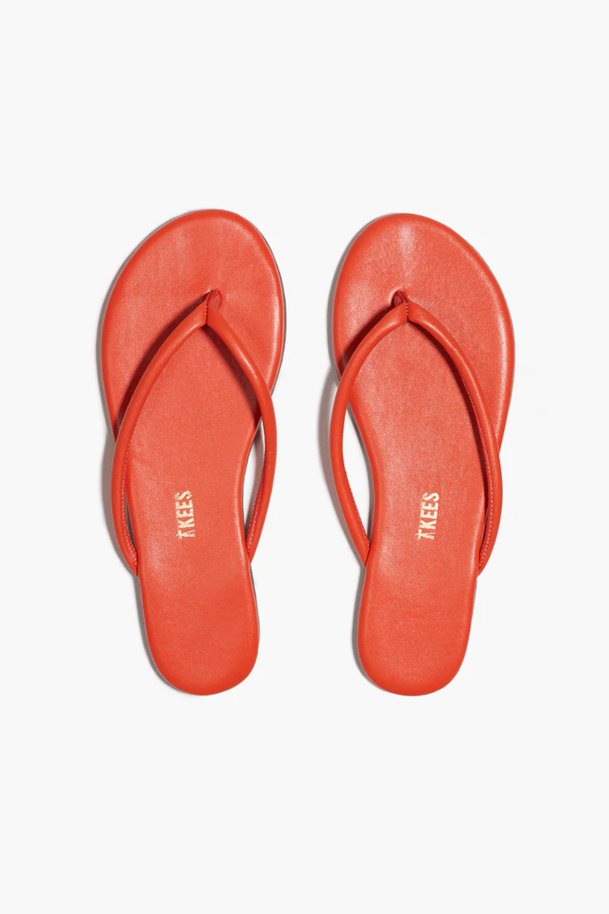 Tkees Tubular Lily - Citra