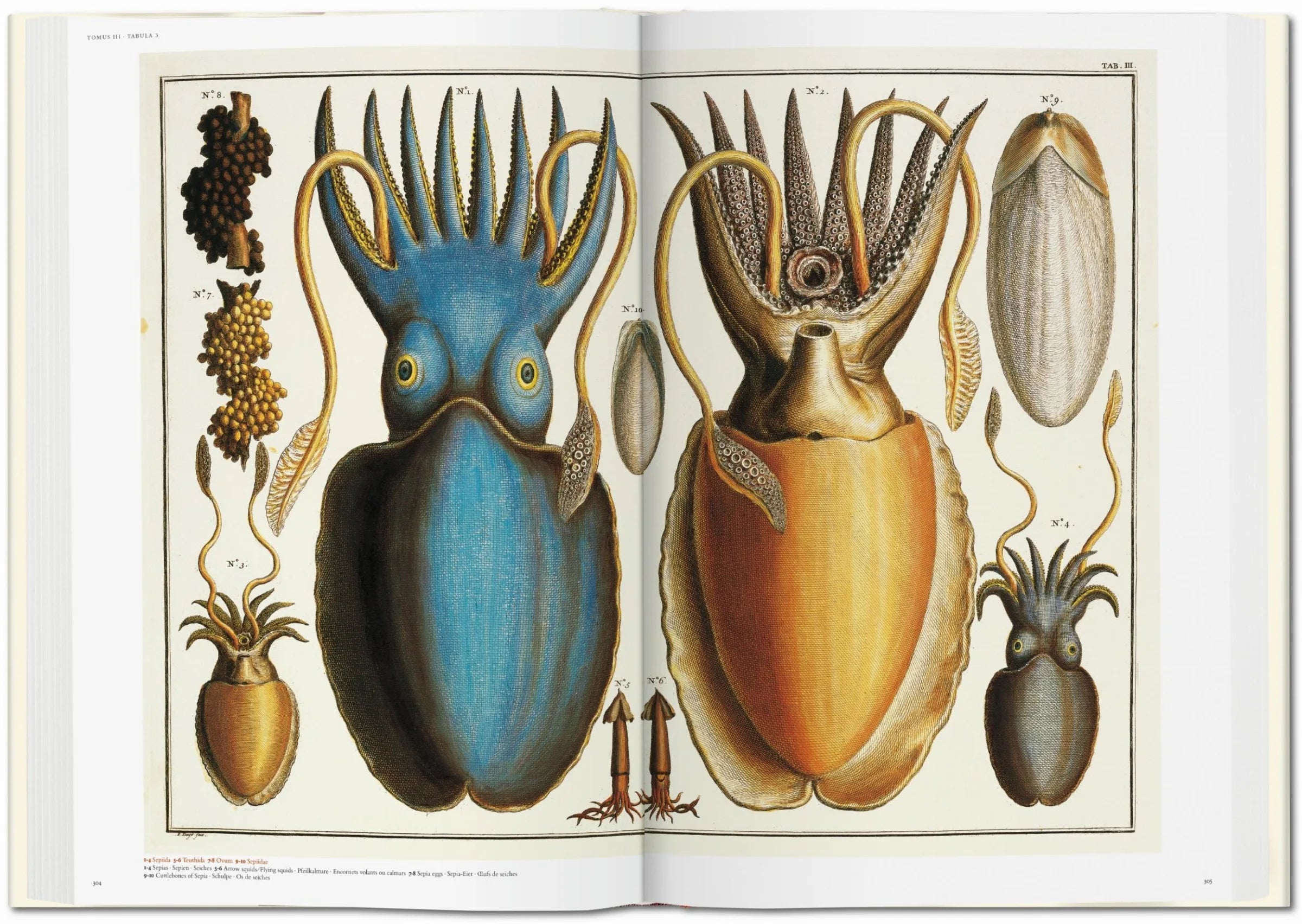 Taschen Seba. Cabinet of Natural Curios