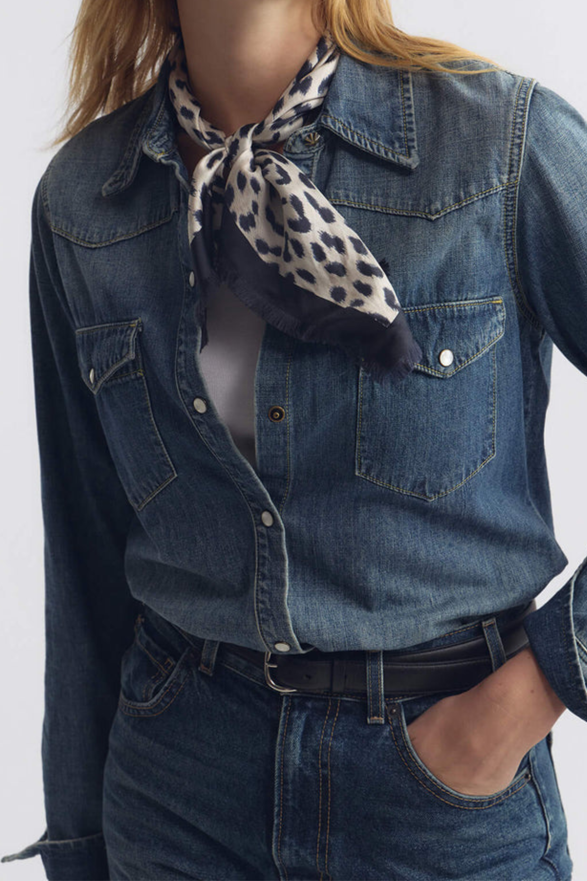 Nili Lotan Savanna Twill Scarf - Cheetah Print