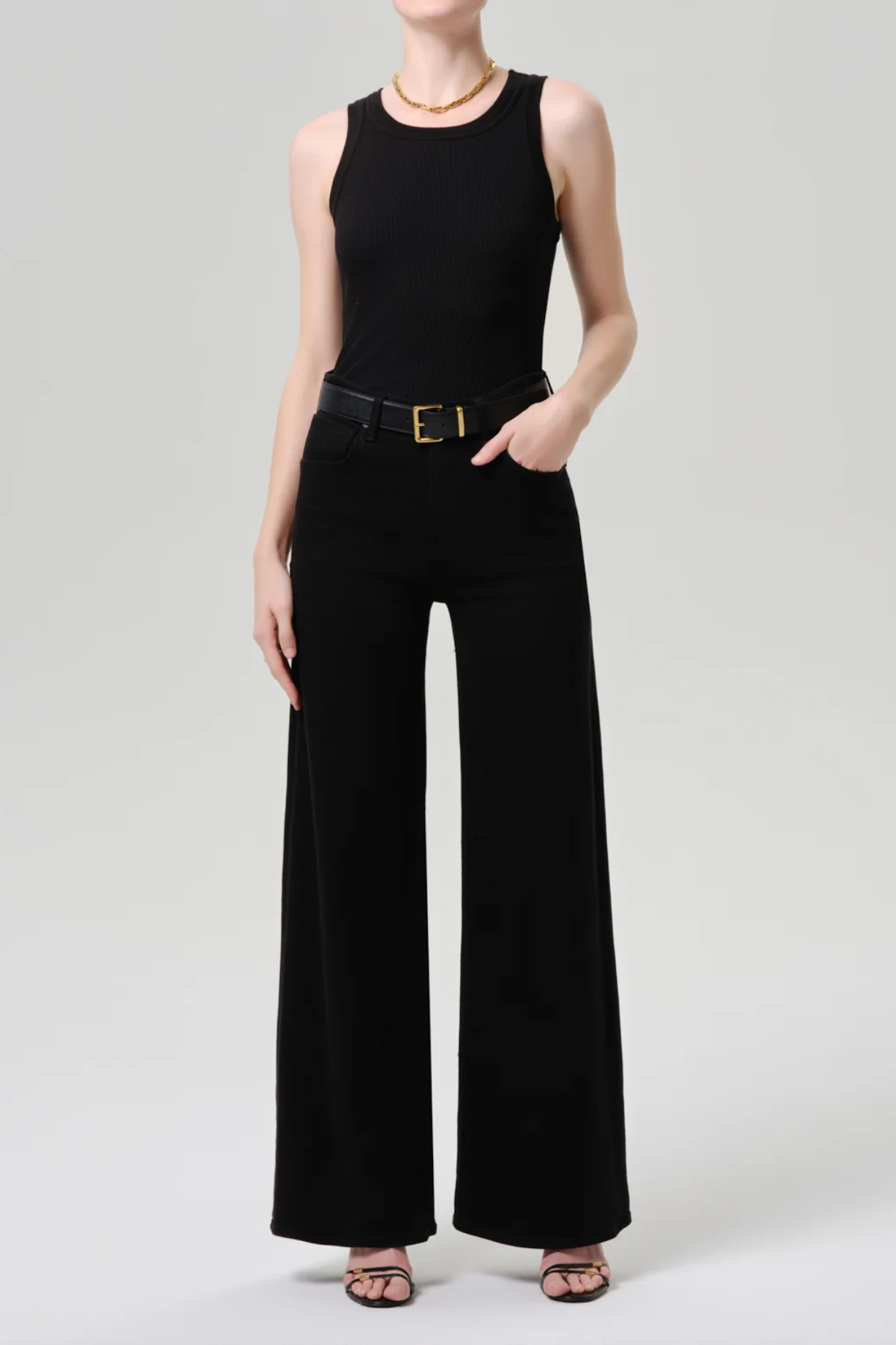 Citizens of Humanity Lyra Long Wide Leg Jeans - Plush Black
