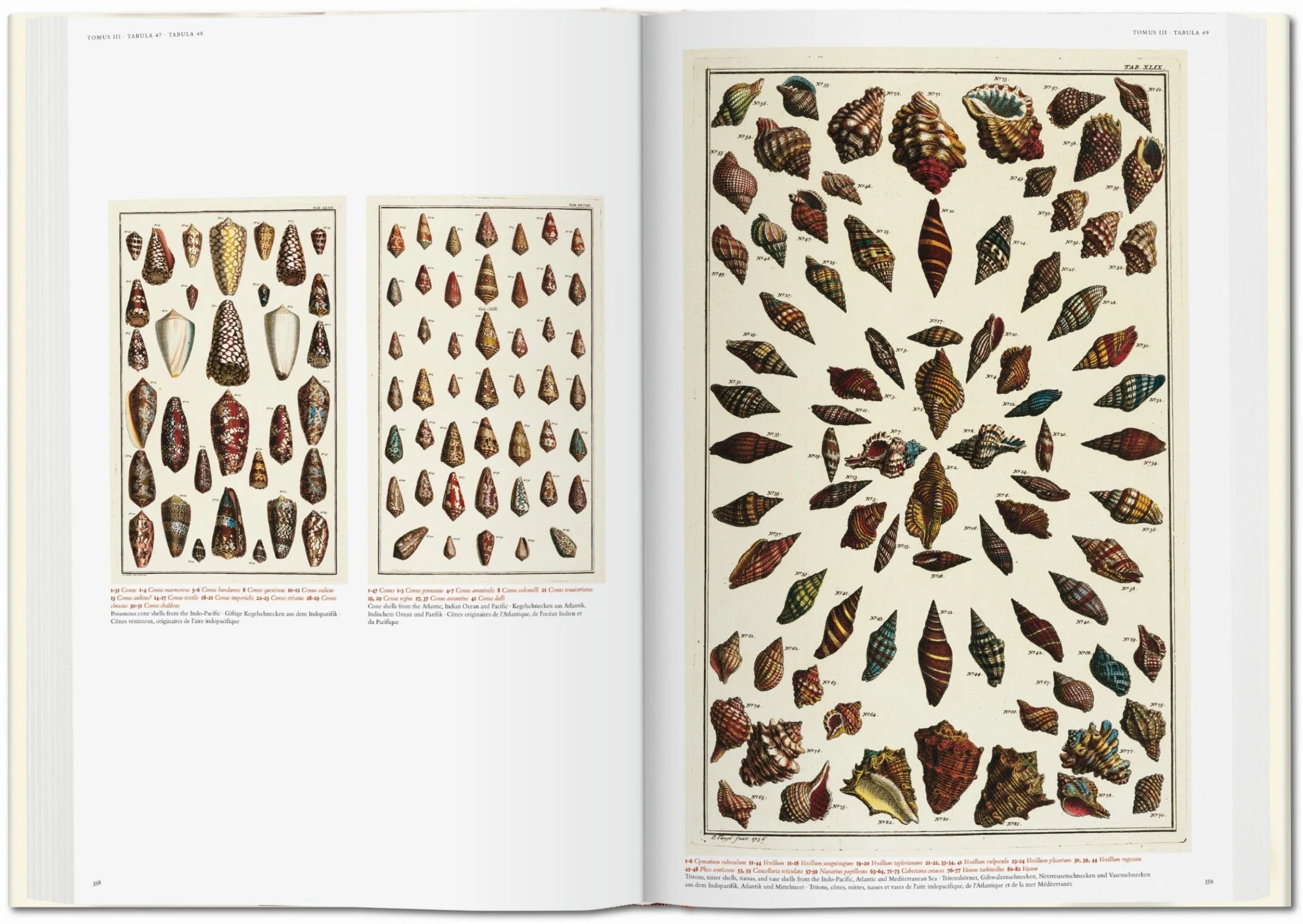 Taschen Seba. Cabinet of Natural Curios
