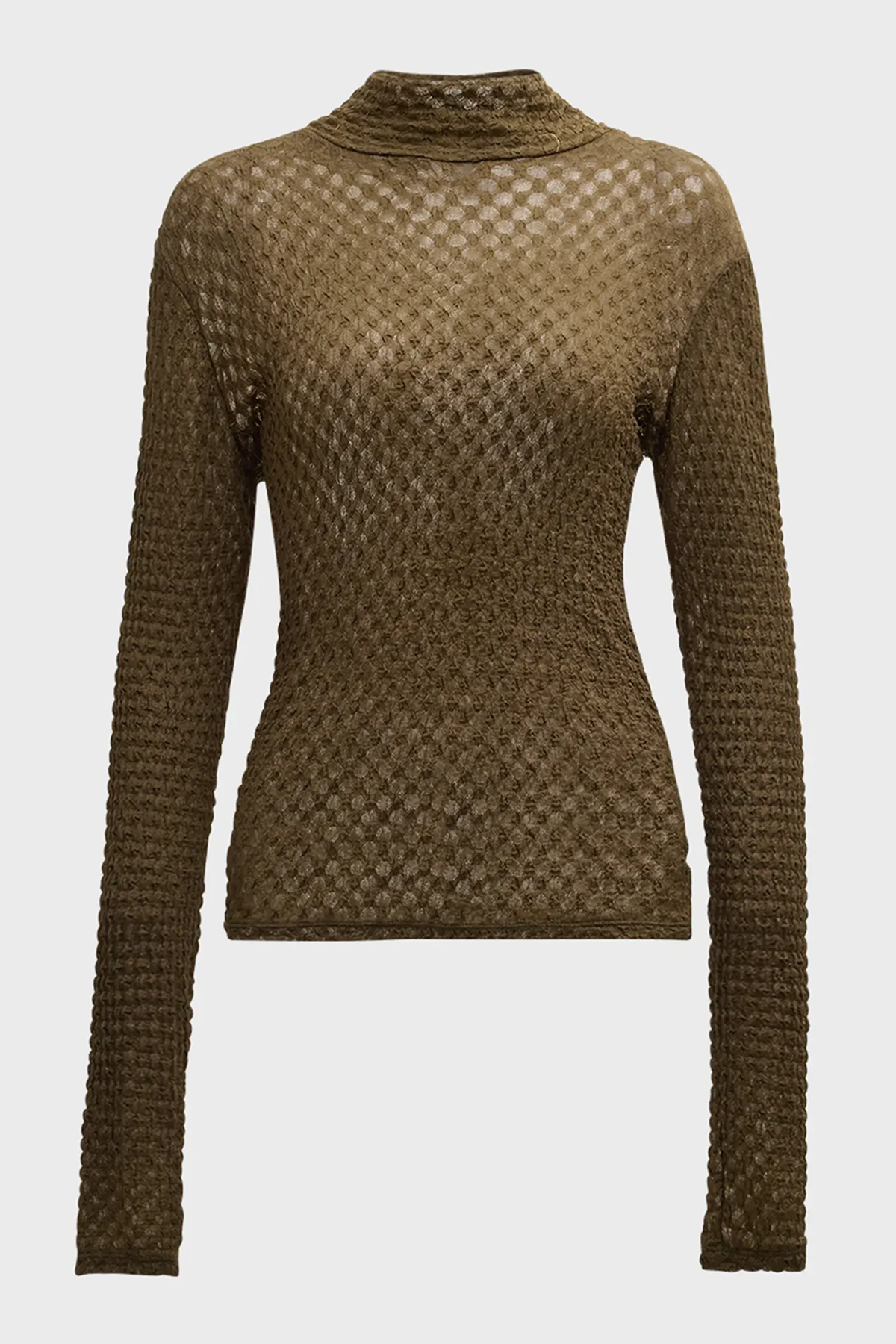 Frame Mesh Lace Turtleneck