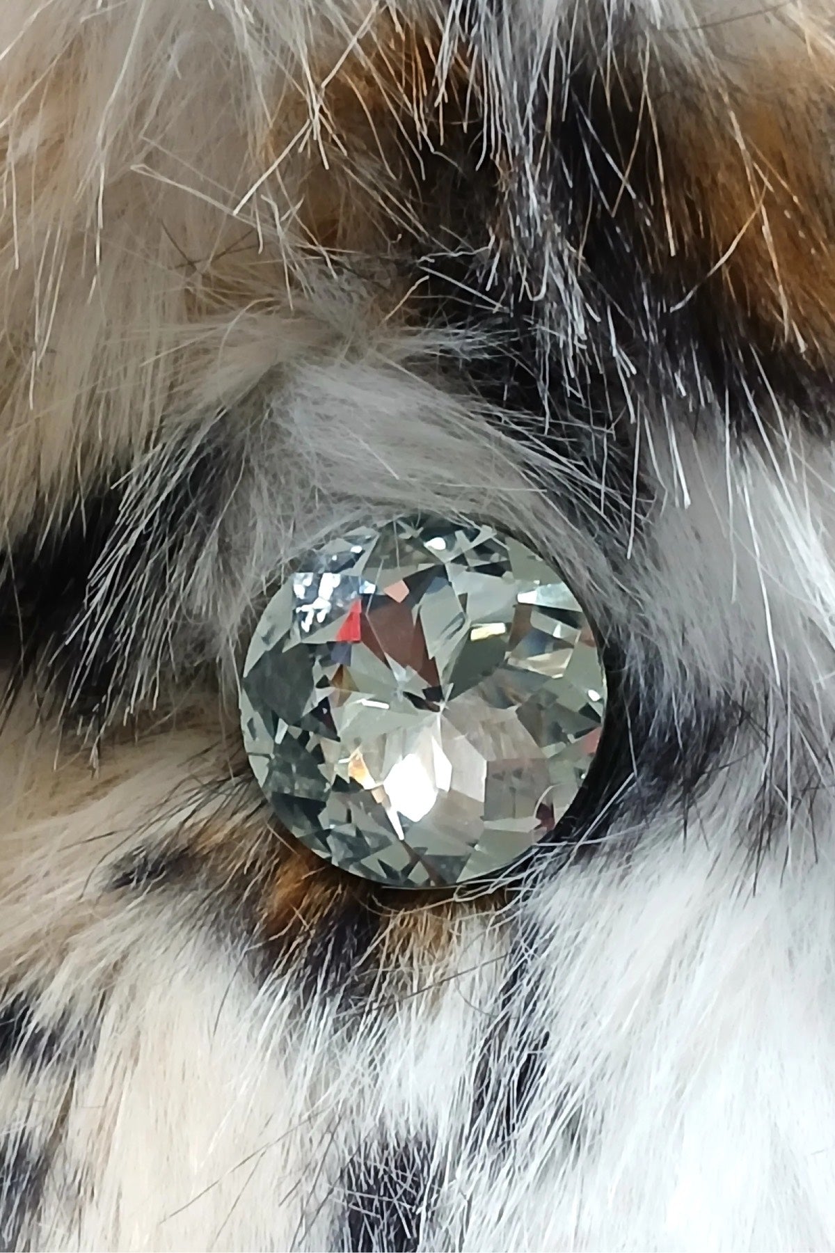 Le Superbe Anora Coat