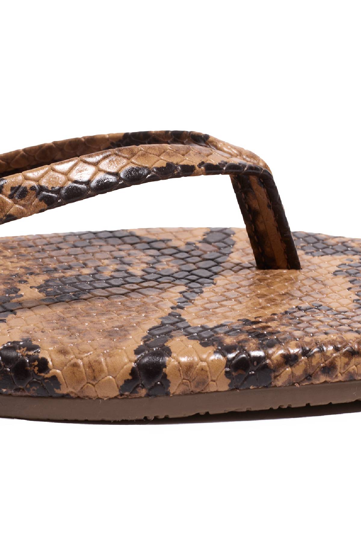 Tkees Square Toe Exotics