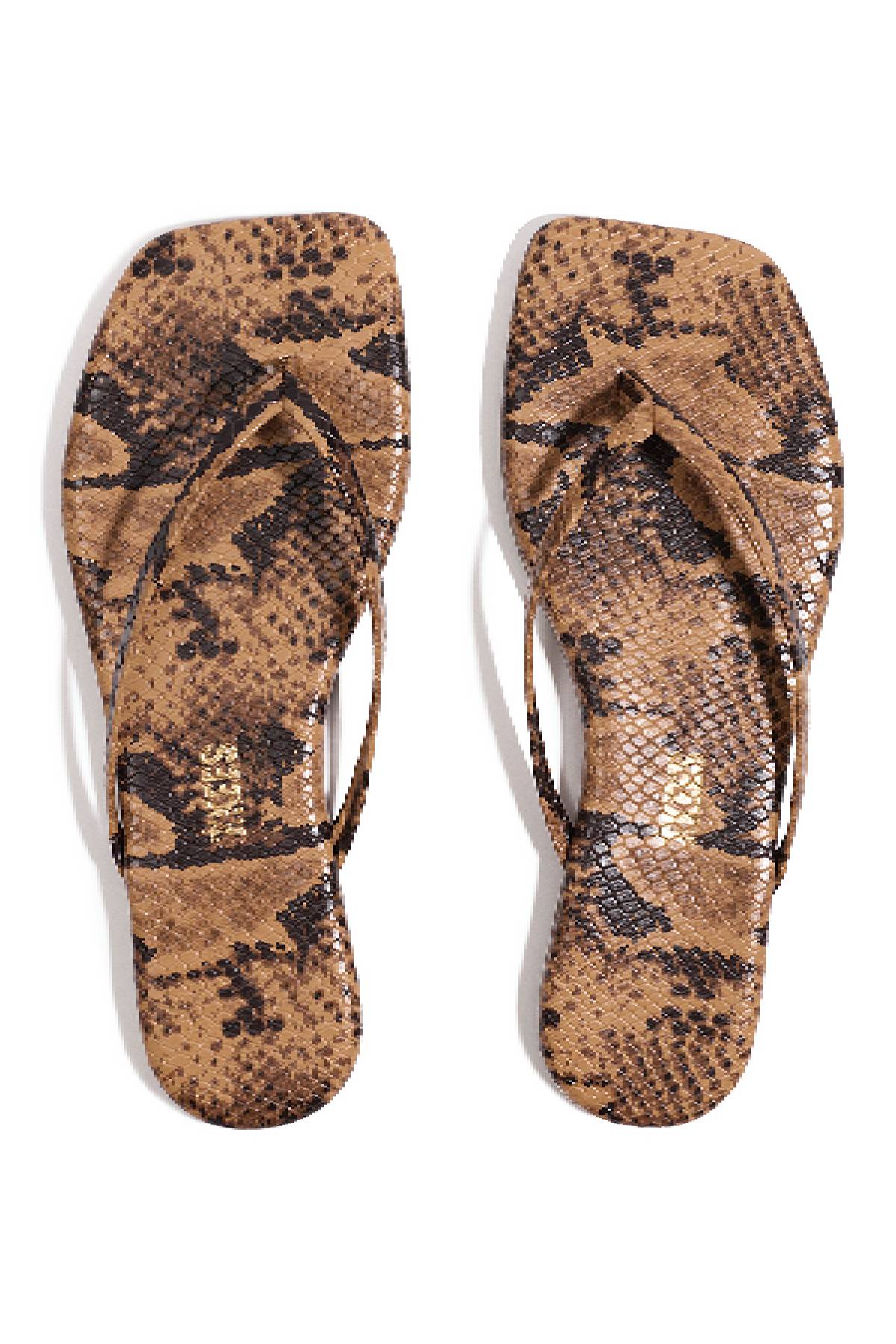 Tkees Square Toe Exotics