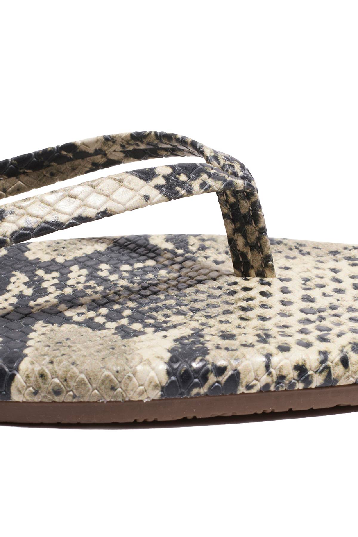 Tkees Square Toe Exotics