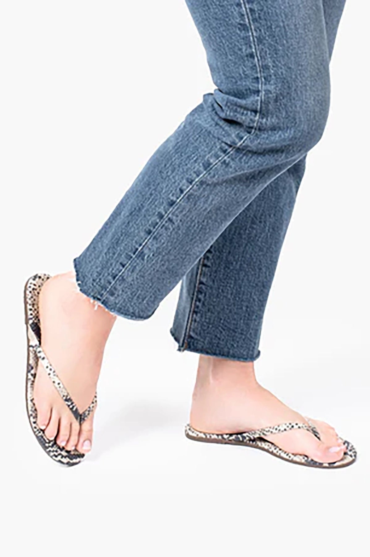 Tkees Studio Exotic - Sandsnake